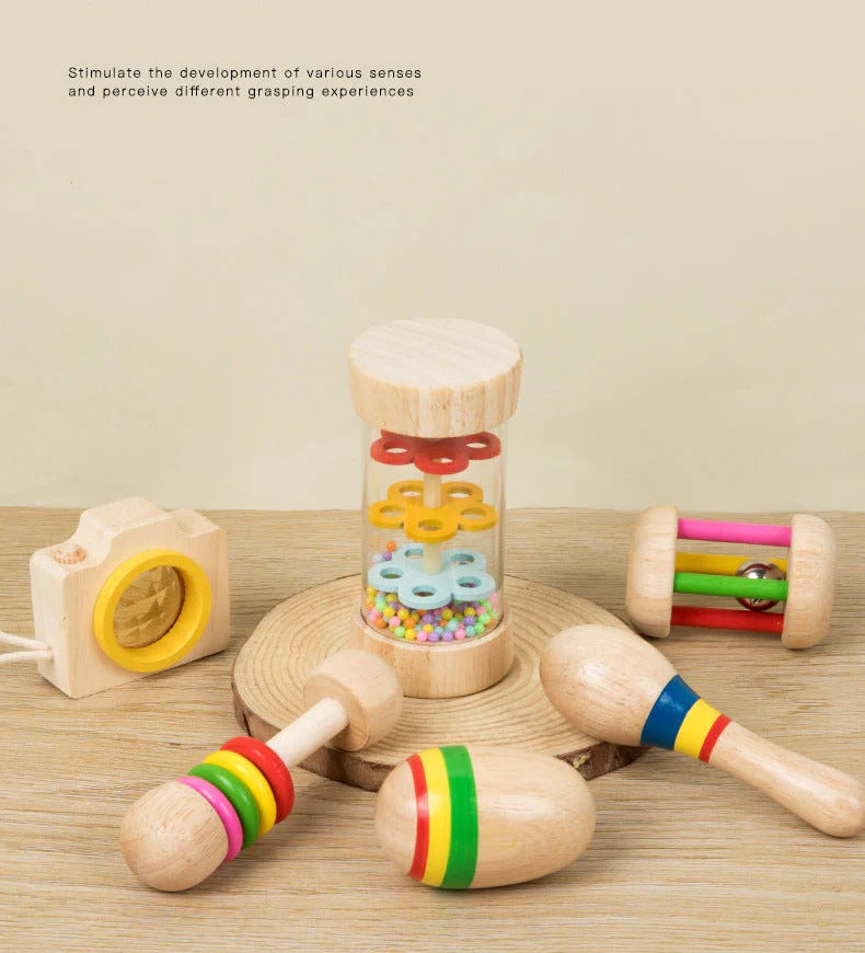 Montessori Wooden Sensory Toy Set