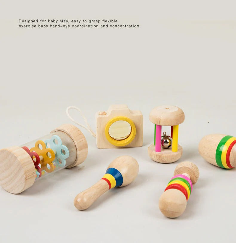 Montessori Wooden Sensory Toy Set
