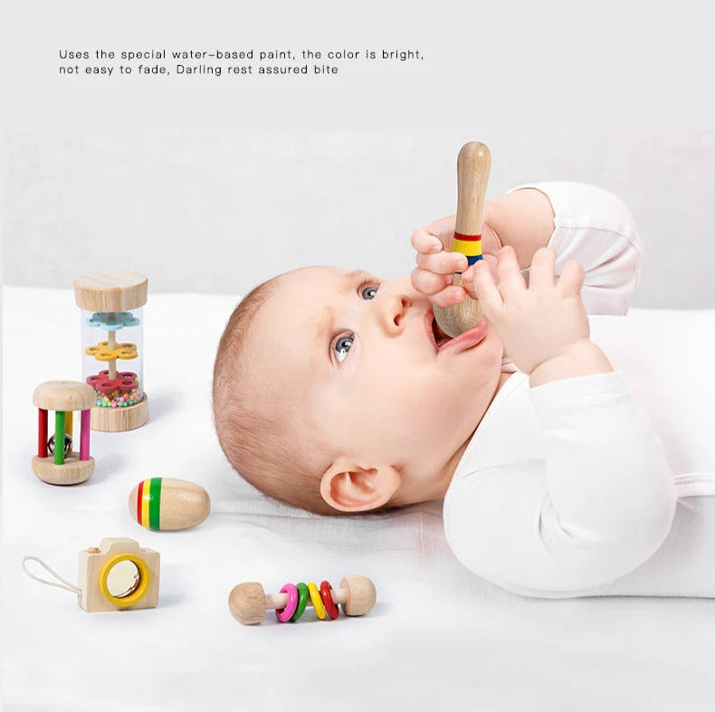 Montessori Wooden Sensory Toy Set