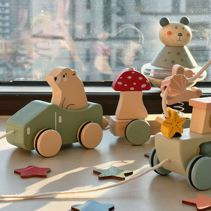 Natural Wooden Pull-Along Train Toy