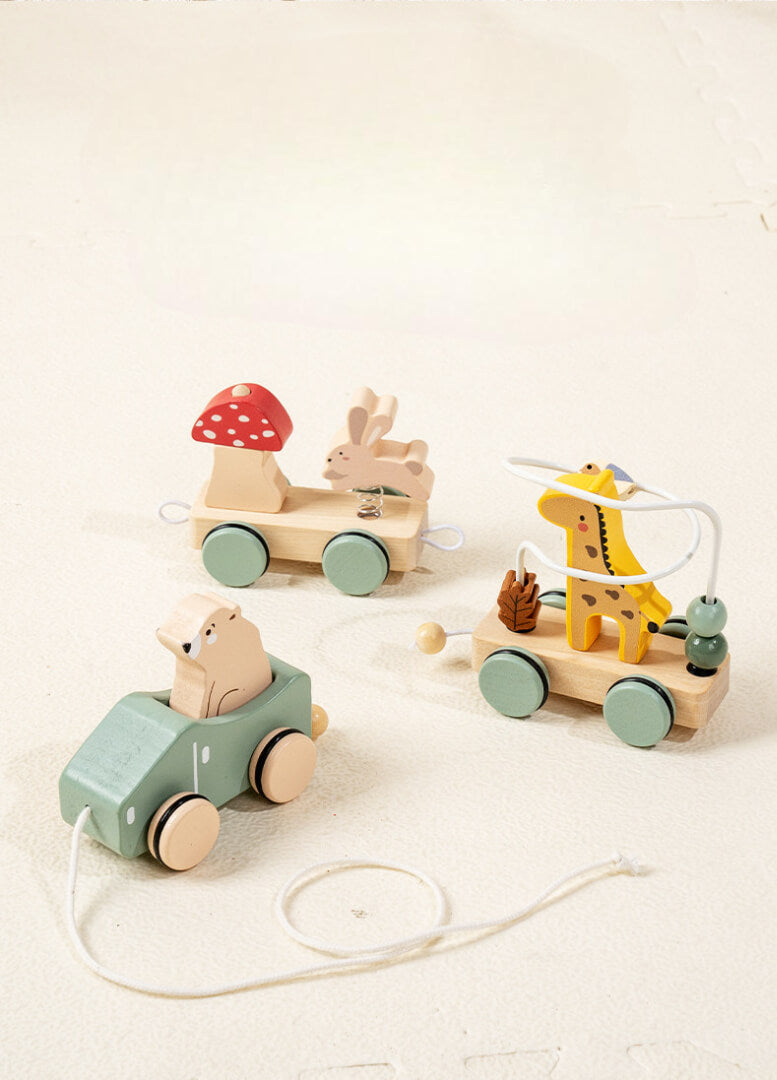 Natural Wooden Pull-Along Train Toy