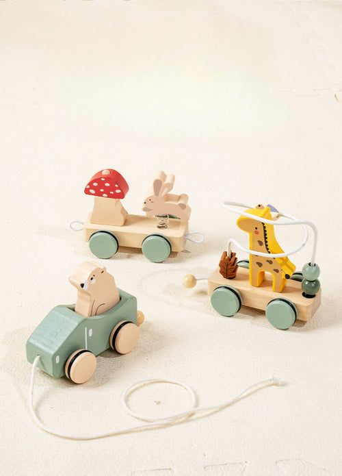 Natural Wooden Pull-Along Train Toy