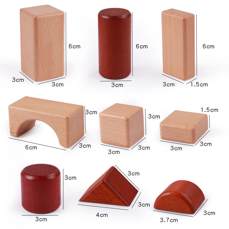 Set of wooden geometric shapes with measurements on a white background