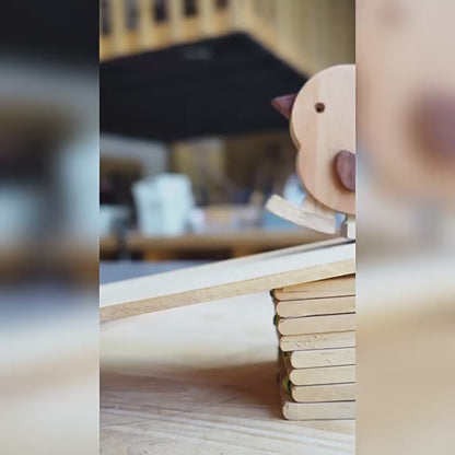 Chicken Ramp Walker